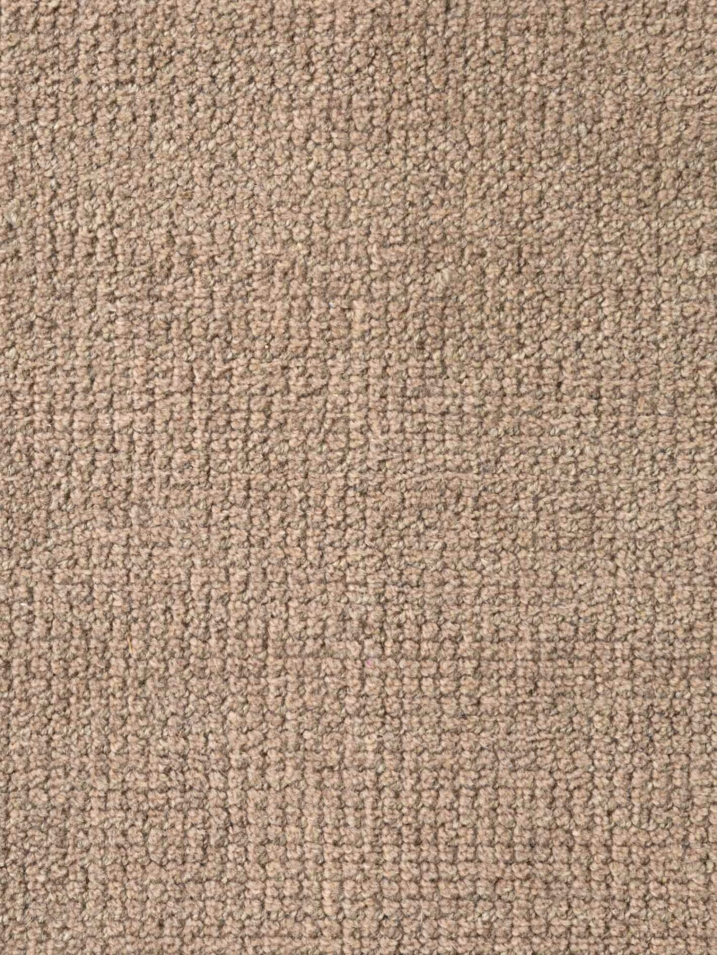 Ted Baker Greenwich uldtæppe - Croom Beige - Billede 6